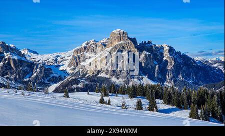 Verschneite Winterlandschaft mit Bäumen und Gipfeln, Dolomiten, Italien, Europa Stockfoto