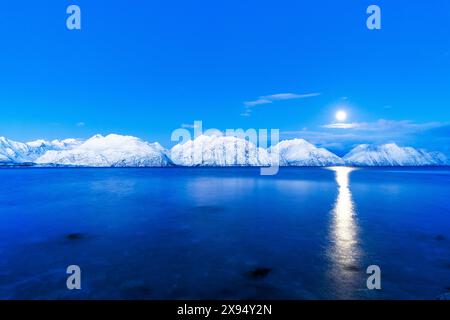 Vollmond über schneebedeckten Gipfeln in der arktischen Landschaft, die sich im kalten Wasser des Fjords in der Abenddämmerung spiegelt, Lyngen Fjord, Troms og Finnmark, Norwegen Stockfoto