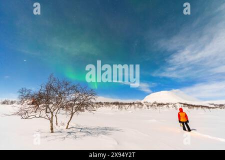 Rückansicht eines Wanderers mit Laterne in der arktischen und eisigen Landschaft mit Blick auf die Nordlichter (Aurora Borealis), Kilpisjarvi, Finnland Stockfoto