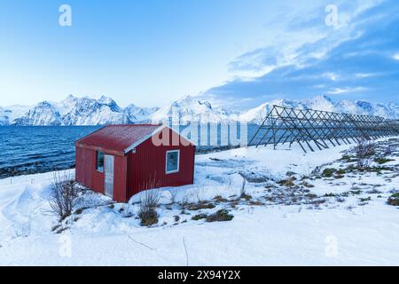 Einsamer roter typischer Rorbu in der schneebedeckten arktischen Landschaft am Fjord bei Sonnenaufgang, Djupvik, Olderdalen, Lyngenfjord, Lyngenalpen, Troms og Finnmark, Norwegen Stockfoto