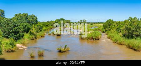 Blick auf Hippopotamus (Hippopatamus amphibius), Erwachsene, im Wasser, im Krüger-Nationalpark, Südafrika, Afrika Stockfoto