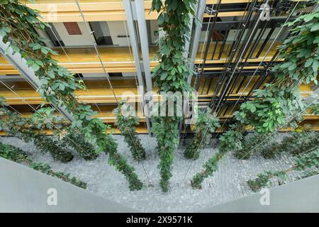 Pflanzen, begrünter Innenhof, Büros, Innenansicht, Europäisches Parlament, 1 Alle. Du Printemps, Straßburg, Unterrhein, Frankreich, Pflanzen, begrünter Innenhof, Stockfoto