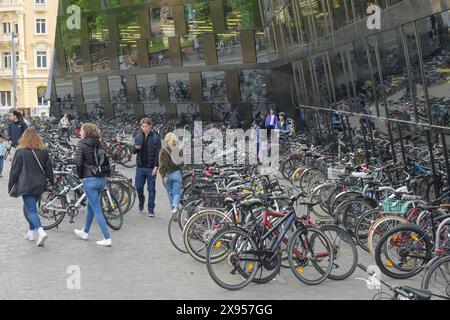 Fahrräder, Parkplätze, Studenten, Universitätsbibliothek, Albert-Ludwig-Universität, Universitätsplatz, Freiburg im Breisgau, Baden-Württemberg, Deutschland, Fahrrä Stockfoto