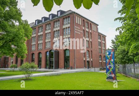 Medizinhistorisches Museum der Charité, Charitéplatz, Mitte, Berlin, Deutschland Medizinhistorisches Museum der Charité, Charitéplatz, Mitte, Berlin, Deut Stockfoto