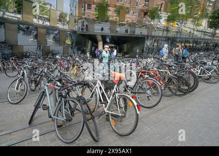 Fahrräder, Parkplätze, Studenten, Universitätsbibliothek, Albert-Ludwig-Universität, Universitätsplatz, Freiburg im Breisgau, Baden-Württemberg, Deutschland, Fahrrä Stockfoto