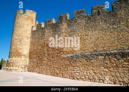 Umliegende Mauer und Turm mit klarem Himmel in El Burgo de Osma, Provinz Soria, Castilla Leon in Spanien. Stockfoto