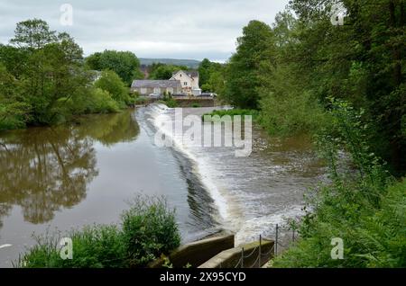Ein Wehr am Fluss Teme in Ludlow, Shropshire Stockfoto