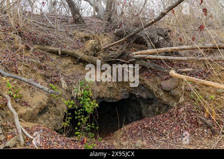 Überwachsene Überreste eines Tunnels, der in Richtung eines Maschinengewehrs aus dem 2. Weltkrieg auf Gili Trawangan in Indonesien führte Stockfoto