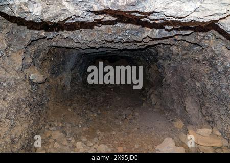 Überwachsene Überreste eines Tunnels, der in Richtung eines Maschinengewehrs aus dem 2. Weltkrieg auf Gili Trawangan in Indonesien führte Stockfoto