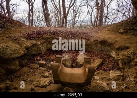 Überwucherte Ruinen eines japanischen Maschinengewehrbunkers aus dem Zweiten Weltkrieg auf Gili Trawangan, Indonesien Stockfoto