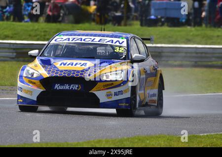 Daniel Rowbottom, Ford Focus ST, NAPA Racing UK, BTCC, British Touring Car Championship, Runde Acht der Saison 2024, Snetterton, Norwich, Norfolk, Stockfoto