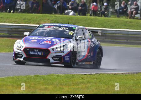 Ronan Pearson, Hyundai i30N, Team Bristol Street Motors, BTCC, British Touring Car Championship, Runde Acht der Saison 2024, Snetterton, Norwich, Stockfoto