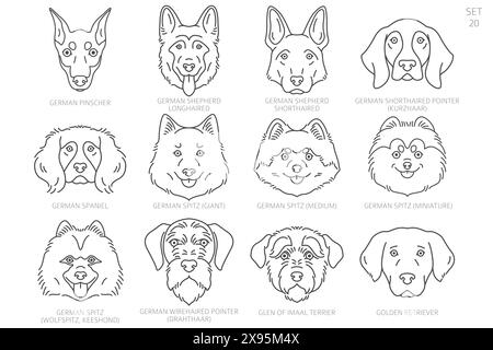Hundekopf-Silhouetten in alphabetischer Reihenfolge. Alle Hunderassen. Einfaches Linienvektordesign. Vektorabbildung Stock Vektor