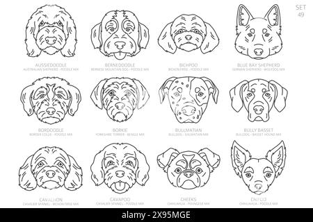 Designer Hundekopf Silhouetten in alphabetischer Reihenfolge. Alle Hunderassen mischen. Einfaches Linienvektordesign. Vektorabbildung Stock Vektor