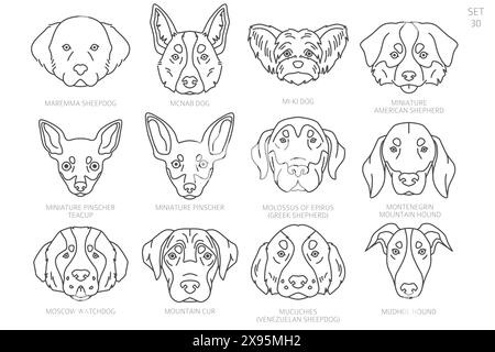 Hundekopf-Silhouetten in alphabetischer Reihenfolge. Alle Hunderassen. Einfaches Linienvektordesign. Vektorabbildung Stock Vektor