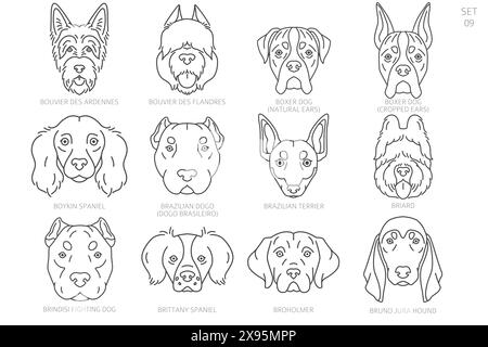 Hundekopf-Silhouetten in alphabetischer Reihenfolge. Alle Hunderassen. Einfaches Linienvektordesign. Vektorabbildung Stock Vektor