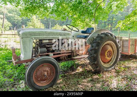 Profilbild eines ford 800 Farmtraktors Stockfoto