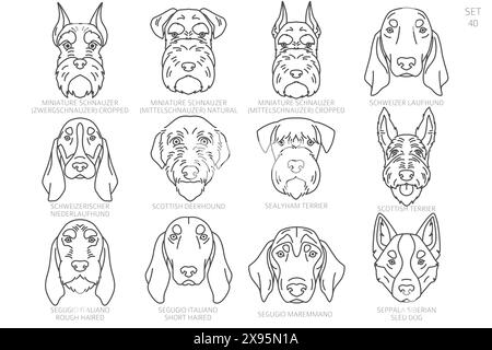 Hundekopf-Silhouetten in alphabetischer Reihenfolge. Alle Hunderassen. Einfaches Linienvektordesign. Vektorabbildung Stock Vektor