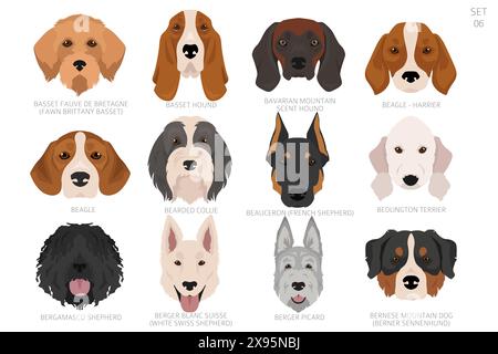 Hundekopf in alphabetischer Reihenfolge. Alle Hunderassen. Farbvektordesign. Vektorabbildung Stock Vektor
