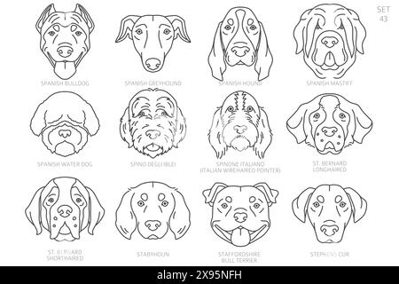 Hundekopf-Silhouetten in alphabetischer Reihenfolge. Alle Hunderassen. Einfaches Linienvektordesign. Vektorabbildung Stock Vektor
