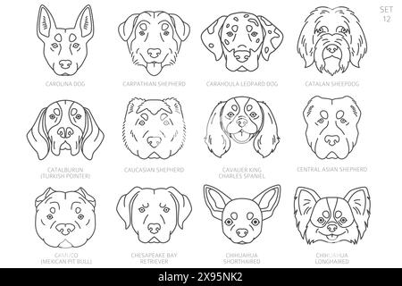 Hundekopf-Silhouetten in alphabetischer Reihenfolge. Alle Hunderassen. Einfaches Linienvektordesign. Vektorabbildung Stock Vektor