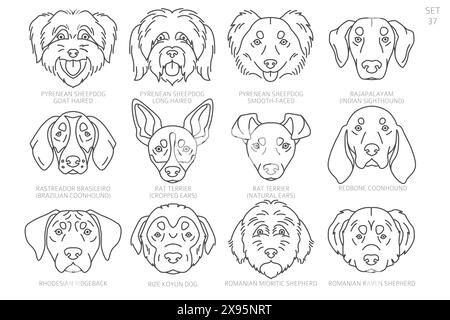 Hundekopf-Silhouetten in alphabetischer Reihenfolge. Alle Hunderassen. Einfaches Linienvektordesign. Vektorabbildung Stock Vektor