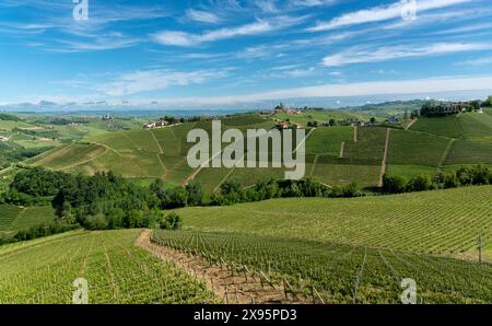 Landschaft der Hügel mit Weinbergen rund um Serralunga di Alba im UNESCO-Weltkulturerbe Langhe, Italien, einem typischen Barolo-Weingebiet Stockfoto