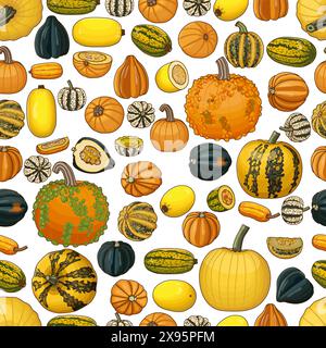 Nahtloses Muster mit Arten von Winterkürzel. Cucurbita pepo. Cucurbitaceae. Obst und Gemüse. Isolierte Vektordarstellung. Art. Stock Vektor