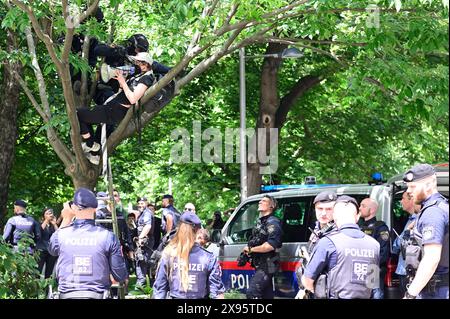 Wien, Österreich. 29. Mai 2024. Die Polizei bricht das pro-palästinensische Protestlager vor der TU (TU Wien) auf. Quelle: Franz Perc/Alamy Live News Stockfoto