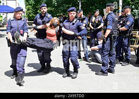 Wien, Österreich. 29. Mai 2024. Die Polizei bricht das pro-palästinensische Protestlager vor der TU (TU Wien) auf. Quelle: Franz Perc/Alamy Live News Stockfoto