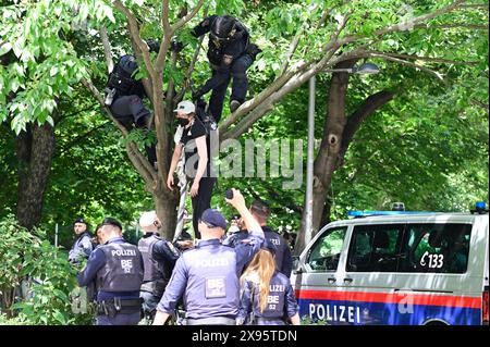 Wien, Österreich. 29. Mai 2024. Die Polizei bricht das pro-palästinensische Protestlager vor der TU (TU Wien) auf. Quelle: Franz Perc/Alamy Live News Stockfoto