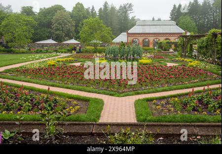 Frühjahrspflanzen in den formellen Gärten der Biltmore Estates Anfang Mai Stockfoto