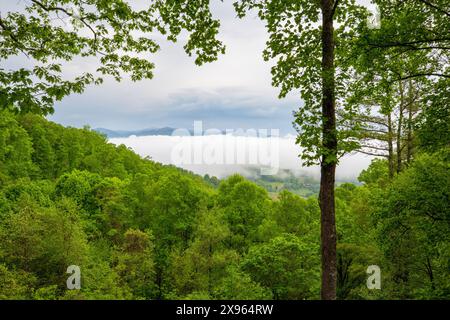 Atemberaubende Aussicht auf die Appalachen vom Slickrock Mountain. Eine Nebelumkehr füllt das Tal an einem Morgen Anfang Mai. Stockfoto