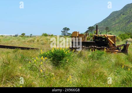 Alte Bulldozer schleppten früher Boote zum Wasser und zurück in die Dünen an der Wairarapa-Küste bei Tora. Stockfoto