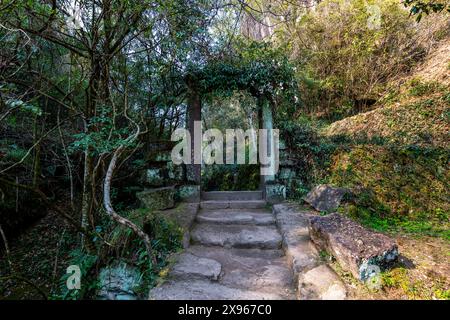 Baumplantagen, Wuyi-Berge, UNESCO-Weltkulturerbe, Fujian, China, Asien Stockfoto