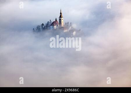 Misty Day, Bleder See, Slowenien, Europa Stockfoto