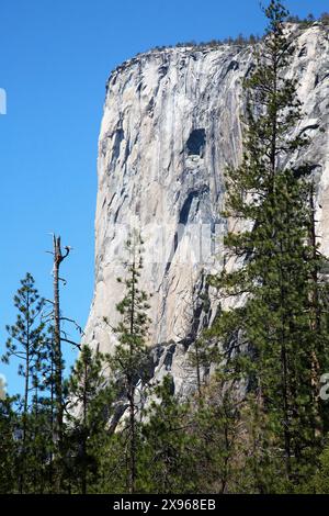 El Capitan, eine 3.000 Meter hohe vertikale Felsformation im Yosemite-Nationalpark, Kalifornien, USA Stockfoto