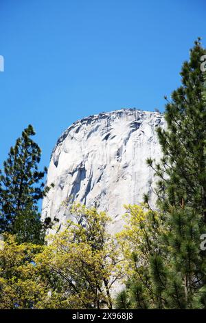 El Capitan, eine 3.000 Meter hohe vertikale Felsformation im Yosemite-Nationalpark, Kalifornien, USA Stockfoto