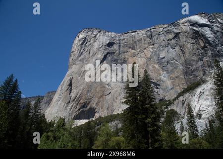 El Capitan, eine 3.000 Meter hohe vertikale Felsformation im Yosemite-Nationalpark, Kalifornien, USA Stockfoto