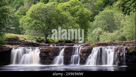 Wain Wath Falls, in der Nähe von Keld, Swaledale, Yorkshire Dales National Park, Yorkshire, England, Großbritannien, Europa Stockfoto