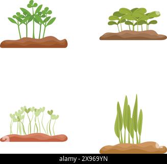 Vier Phasen des Pflanzenwachstums von der Keimung bis zur Reifen Pflanze, auf weißem Hintergrund Stock Vektor