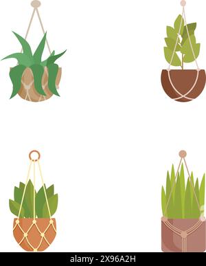 Sammlung von vier Vektorillustrationen von hängenden Pflanzen im Innenbereich, perfekt für Wohnmotive Stock Vektor