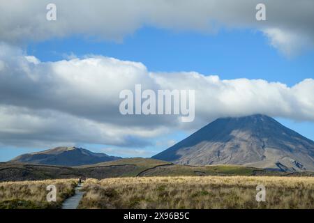 Neuseeland, Nordinsel, Tongariro Nationalpark, Mount Tongariro Stockfoto
