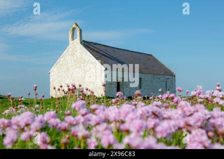 St Cwyfan's Church, Llangwyfan, Anglesey, Wales, UK 2024 Stockfoto