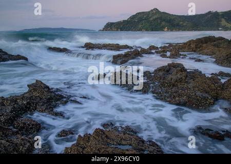 Neuseeland, Nordinsel, Coromandel Peninsula, Kuaotunu Beach, Stockfoto