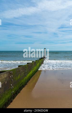 Bournemouth, Großbritannien - 12. April 2024: Hölzerner Groyne, der am Middle Chine Beach ins Meer geht. Stockfoto