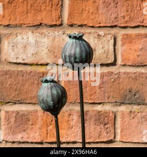 Zwei skulpturale Gartenpfähle aus Metall-Mohn/Pflanzstützen von Bildhauer/Künstler Paul Cox mit Grüngris-Finish gegen rote Backsteinwand Stockfoto