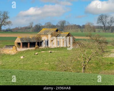 Alte ruinierte Bauernscheune aus rotem Backstein mit beschädigtem Schieferdach mit Löchern und fehlenden Schiefern, Leicestershire, England, Großbritannien Stockfoto