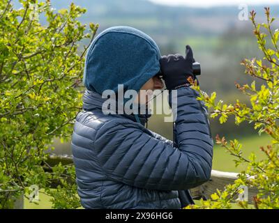 Erwachsene Frau mit Kapuzenpullover mit gepolsterter Pufferjacke und Handschuhen, die während der Vogelbeobachtung durch ein Fernglas schauen, Leicestershire, England, Großbritannien Stockfoto