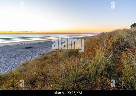 Grasbedeckte Dünen, die bei Sonnenaufgang durch Strandsand vom Meer getrennt sind, in Papamoa Tauranga Neuseeland. Stockfoto